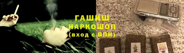 эйфоретик Бородино