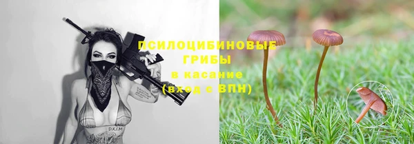 СК Бугульма