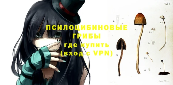 шишки Бронницы