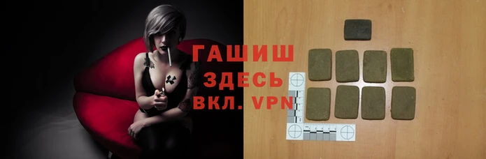эйфоретик Бородино