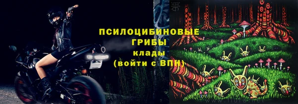 шишки Бронницы