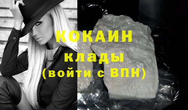 шишки Бронницы