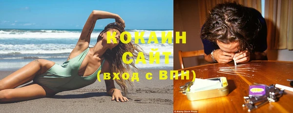 эйфоретик Бородино