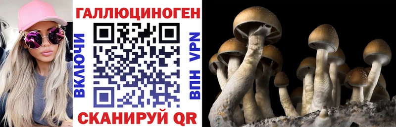 Псилоцибиновые грибы MAGIC MUSHROOMS  Купить  Камышин 